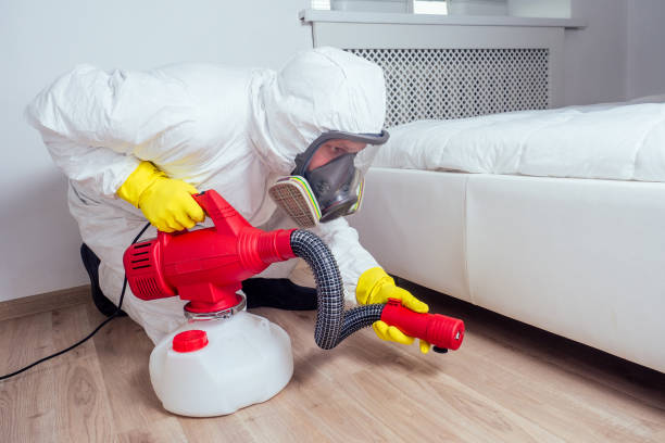 Best Indoor Pest Control  in Glenwood, AR